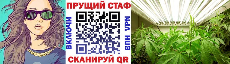 Магазин наркотиков Бийск Псилоцибиновые грибы  Альфа ПВП  Меф  Конопля 