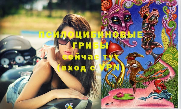 крисы Няндома